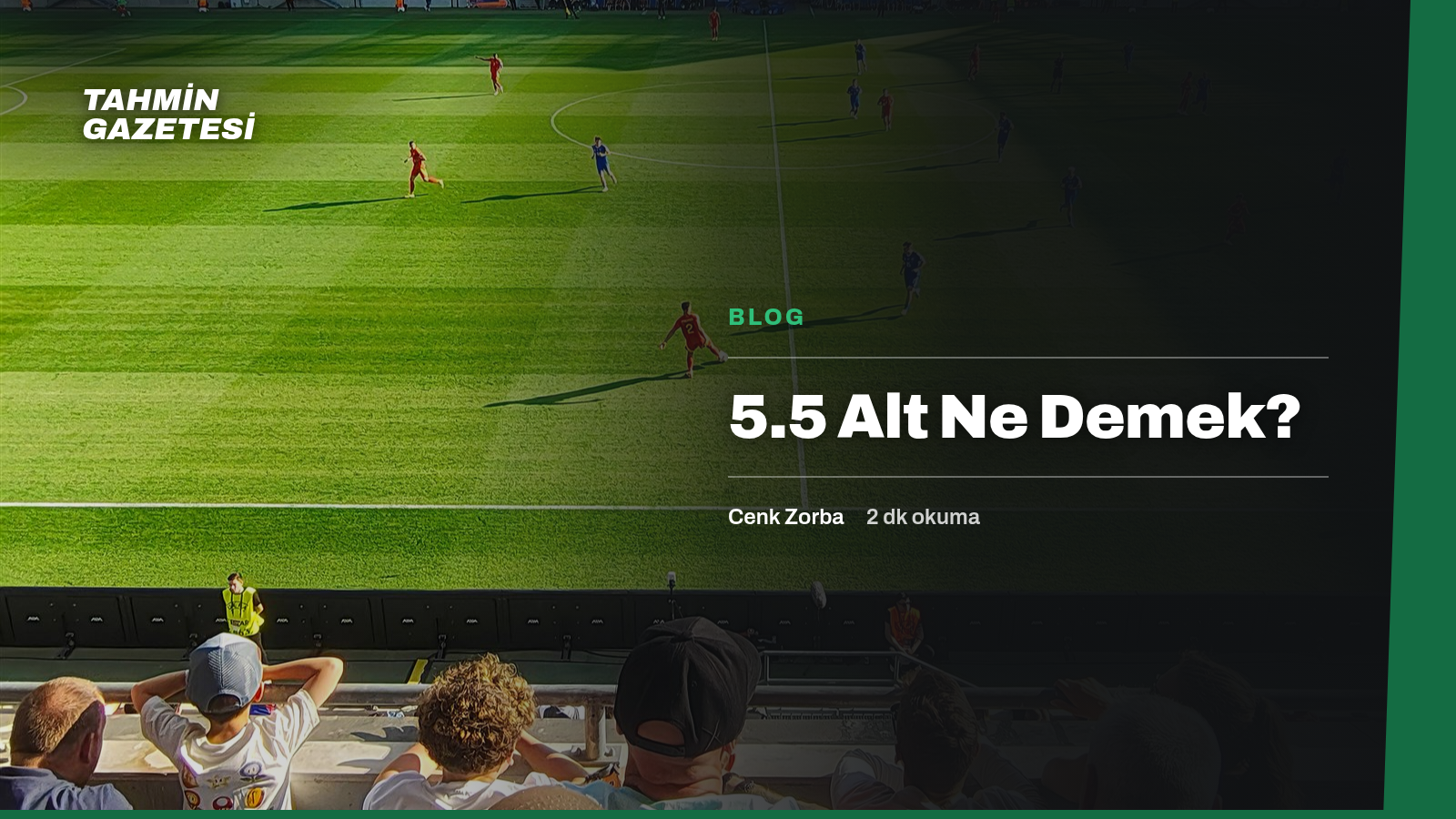 5.5 Alt Ne Demek?